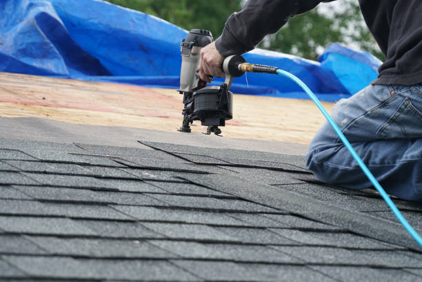 Best Roof Gutter Cleaning  in Harrison, NY